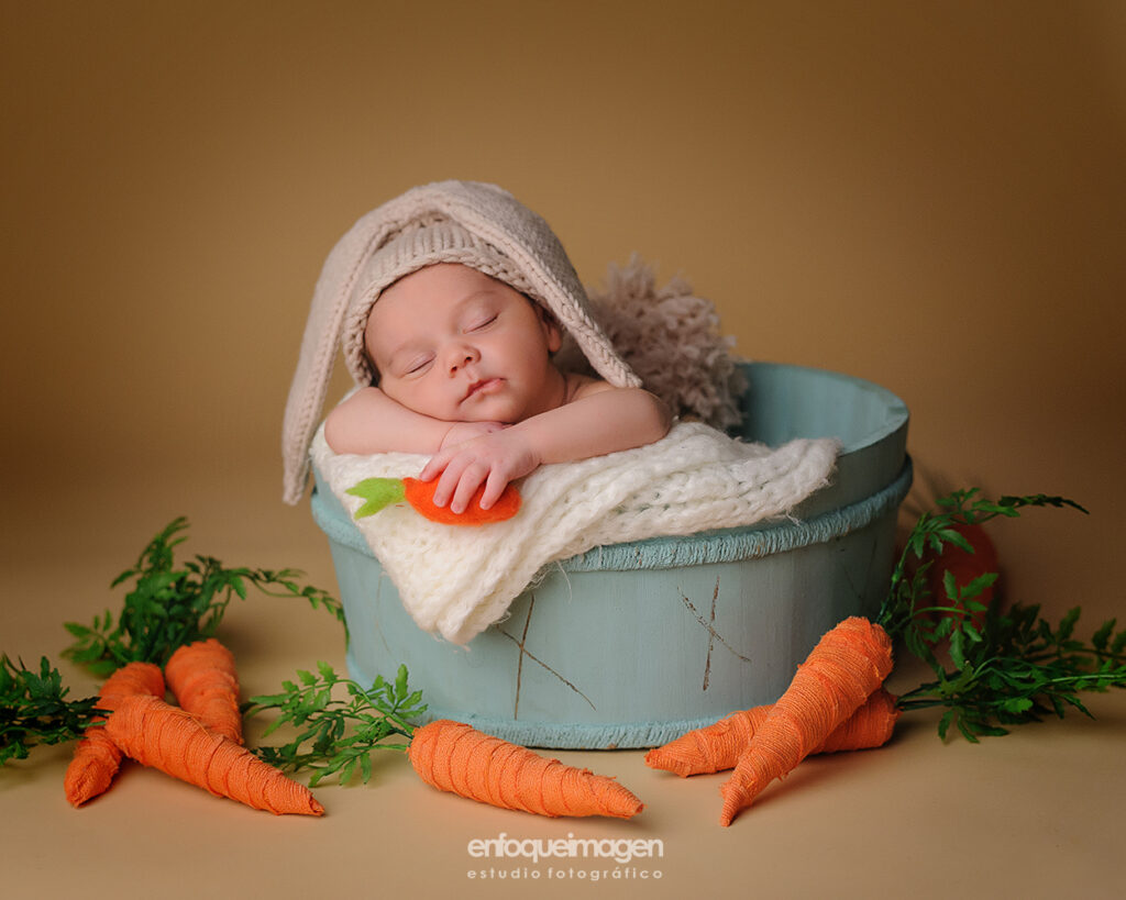 fotografia de recien nacido con atrezzo de zanahorias